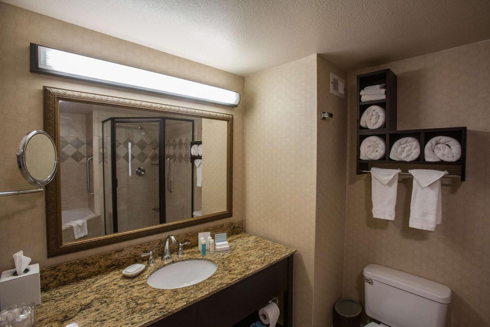 One-Bedroom King Suite Whirlpool Non-Smoking